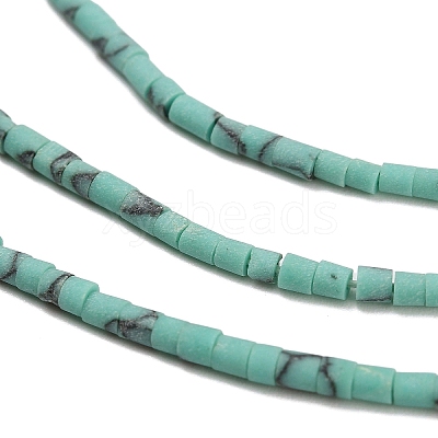 Dyed Synthetic Turquoise Beads Strands G-P594-01B-04-1