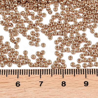 MIYUKI Round Rocailles Beads X-SEED-G007-RR4204-1