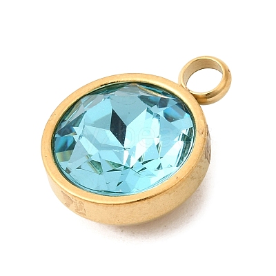 Birthstone Theme December 304 Stainless Steel Pendants STAS-K239-01G-A12-1