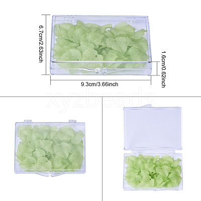 Transparent Plastic Bead Containers CON-BC0004-56-1