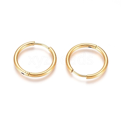 304 Stainless Steel Huggie Hoop Earrings EJEW-G272-02-20mm-G-1