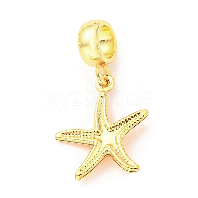 Brass Enamel European Dangle Charms KK-M247-11G-07-1