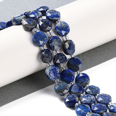 Natural Lapis Lazuli Beads Strands G-N342-16-1
