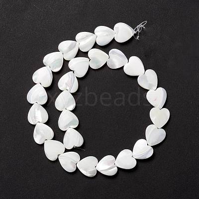 Natural Trochid Shell/Trochus Shell Beads SSHEL-O001-27D-1