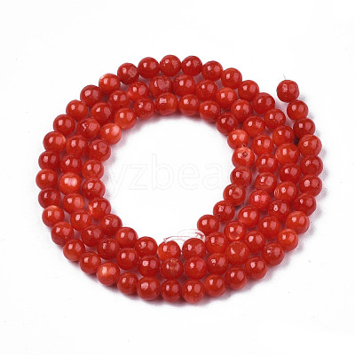 Natural Freshwater Shell Beads Strands SHEL-N003-24-B05-1