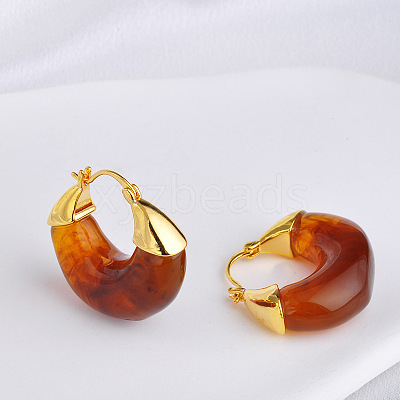 Brass Resin Hoop Earrings FS-WG9E07E-02-1