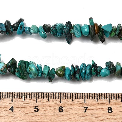 Natural HuBei Turquoise Bead Strands G-H345-A01-08-1