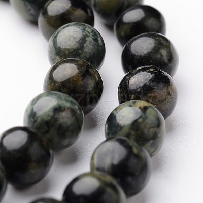 Round Natural Kambaba Jasper Bead Strands G-J346-29-6mm-1