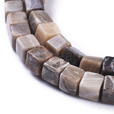 Natural Fossil Coral Beads Strands G-D0020-13A-1