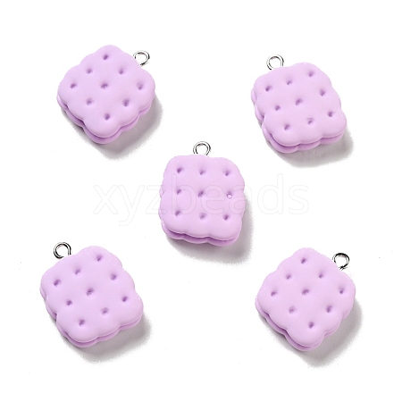 Opaque Resin Pendants RESI-G043-D02-B-1