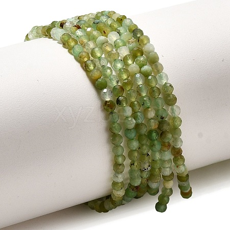 Natural Chrysoprase Beads Strands G-XCP0001-28-1