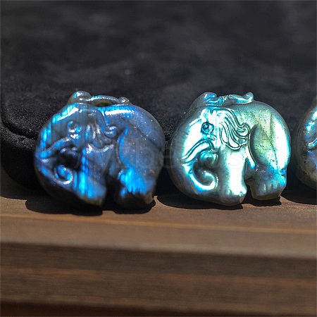 Natural Labradorite Carved Healing Elephant Figurines PW-WG69479-01-1