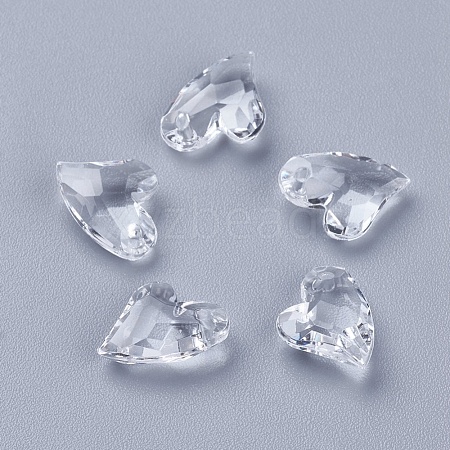 Transparent Acrylic Charms X-MACR-G055-11mm-02X-1