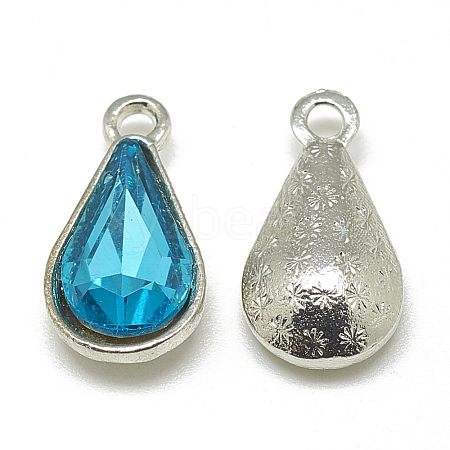 Alloy Glass Pendants PALLOY-T029-8x13mm-12-1