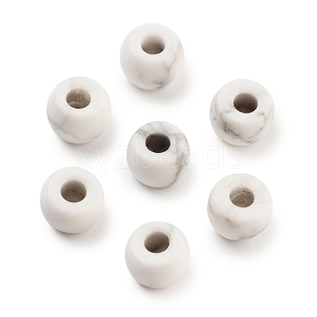 Natural Howlite Beads G-C134-03A-1