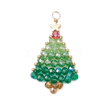 Handmade Seed Beaded Pendants PALLOY-JF03042-1