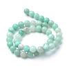 Natural Amazonite Beads Strands G-T055-10mm-17-2