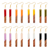 8 Pairs 8 Color Resin & Walnut Wood Dangle Earrings wih Iron Pins EJEW-AB00030-1