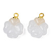 Glass Charms GLAA-N036-02B-4