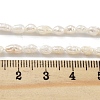 Natural Keshi Pearl Cultured Freshwater Pearl Beads Strands PEAR-P062-25C-5