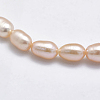 Natural Cultured Freshwater Pearl Beads Strands PEAR-F007-76A-01-3