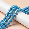 Natural Howlite Beads Strands G-C025-01B-2