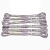 6Skeins Polyester Metallic Embroidery Threads PW-WGA13F3-07-1