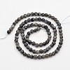 Faceted Round Natural Larvikite Beads Strands G-E302-083-4mm-2