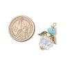 Acrylic Beads with Glass Beads Pendants PALLOY-MZ00699-2