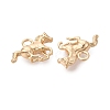 Brass Pendants X-KK-Q074-22G-2