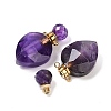 Natural Amethyst Faceted Teardrop Bottle Pendants G-A225-02G-05-2