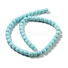 Natural Howlite Beads Strands G-L603-A01-01-3