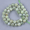 Natural Prehnite Beads Strands G-S333-10mm-032-2