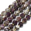 Natural Tourmaline Beads Strand G-I376-A24-01-1