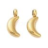 304 Stainless Steel Charms STAS-M017-14C-G-1-1