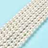 Natural Cultured Freshwater Pearl Beads Strands PEAR-E016-167-2