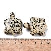 Natural Dalmatian Jasper Carved Beads G-K383-12-3