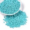 Baking Paint Glass Seed Beads SEED-T006-03H-3