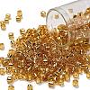TOHO 6/0 Round Beads SEED-XTR06-0022-1