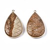 Natural Picture Jasper Pendants G-N326-108E-2