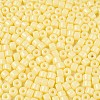 Opaque Baking Paint Glass Seed Beads SEED-T008-02B-3