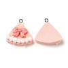 Resin Imitation Food Pendants RESI-R440-01-2