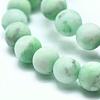 Natural Howlite Bead Strands G-I224-04A-8mm-2