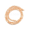 Natural Freshwater Shell Beads Strands SHEL-G013-01C-2