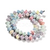 Natural Rainbow Alashan Agate Beads Strands G-NH0022-I01-01-3