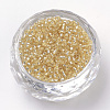 8/0 Grade A Round Glass Seed Beads SEED-Q007-3mm-F33-2