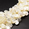 Natural Trochid Shell/Trochus Shell Beads Strands SSHEL-K009-08-1