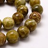 Round Natural Dragon Blood Jasper Beads Strands G-K072-6mm-3