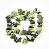 Natural Serpentine Beads Strands G-T140-62-2