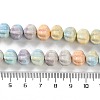 Natural Rainbow Alashan Agate Beads Strands G-NH0022-H01-01-5